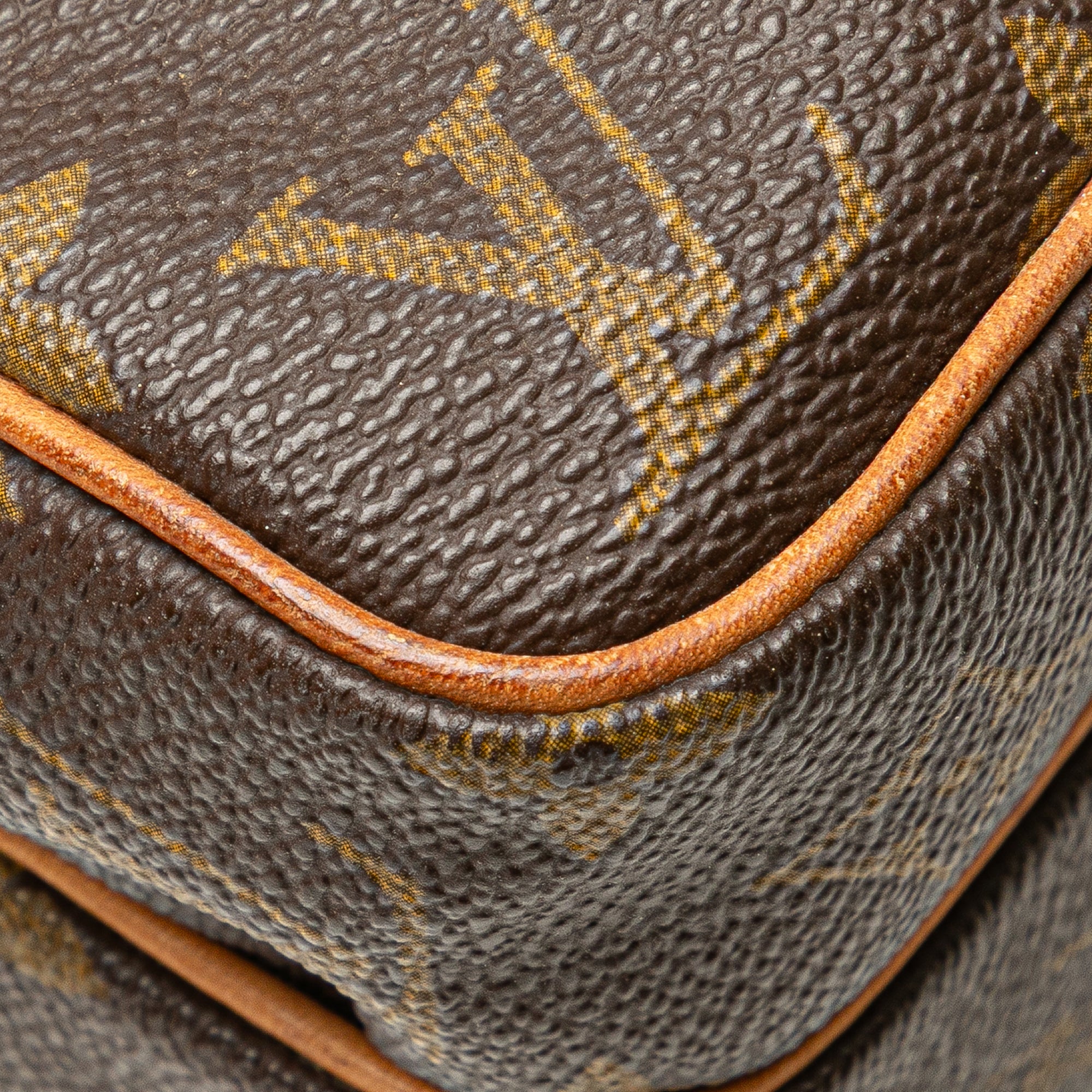 Monogram Mini Amazone