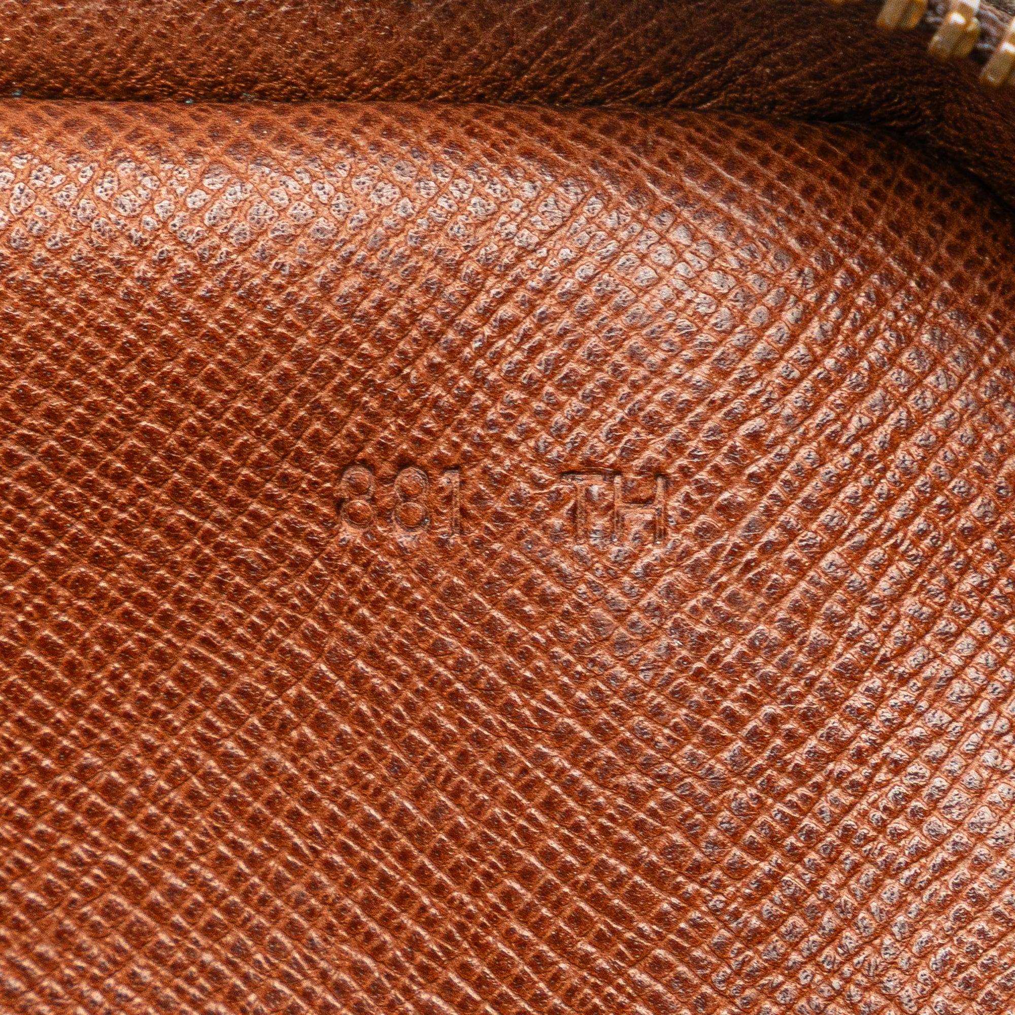 Monogram Mini Amazone