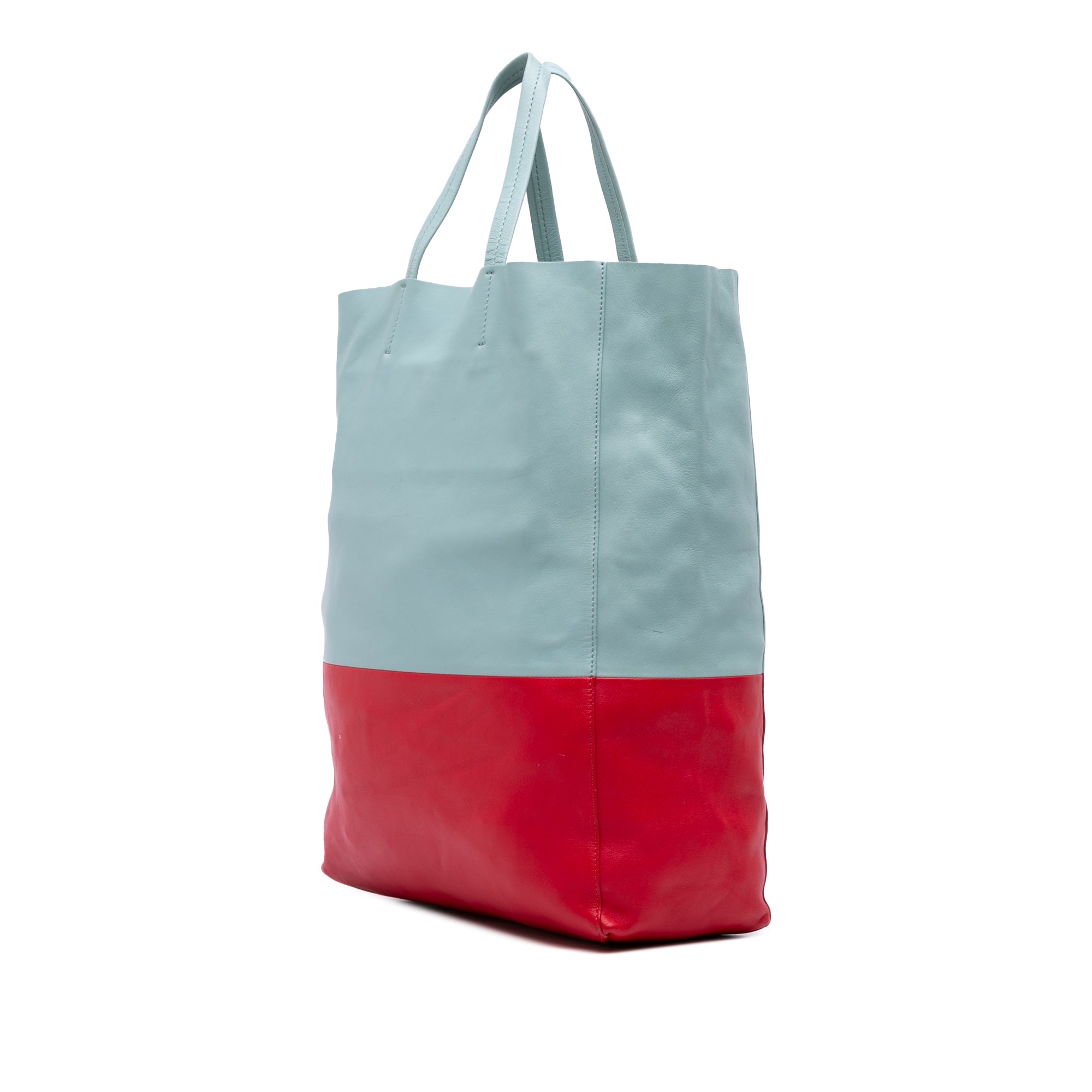 Bicolor Leather Vertical Cabas Tote
