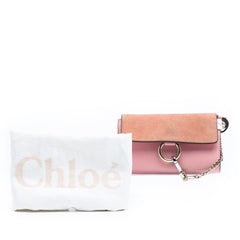 Mini Calfskin and Suede Faye Chain Crossbody