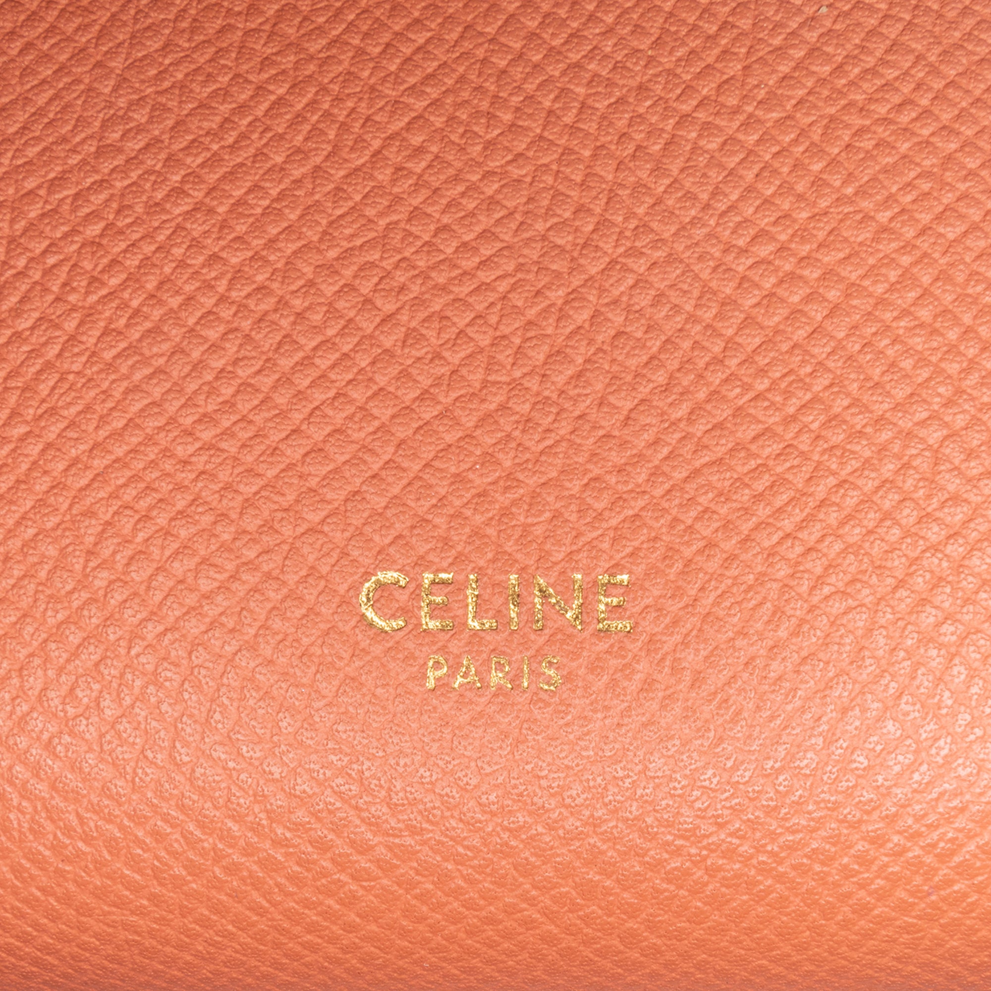 Pico Grained Calfskin Belt Bag