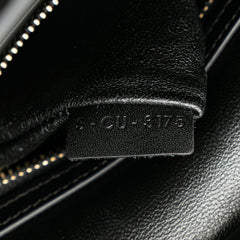 Micro Tricolor Calfskin Luggage Tote