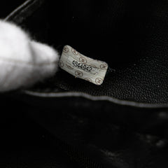 CC Caviar Vanity Bag