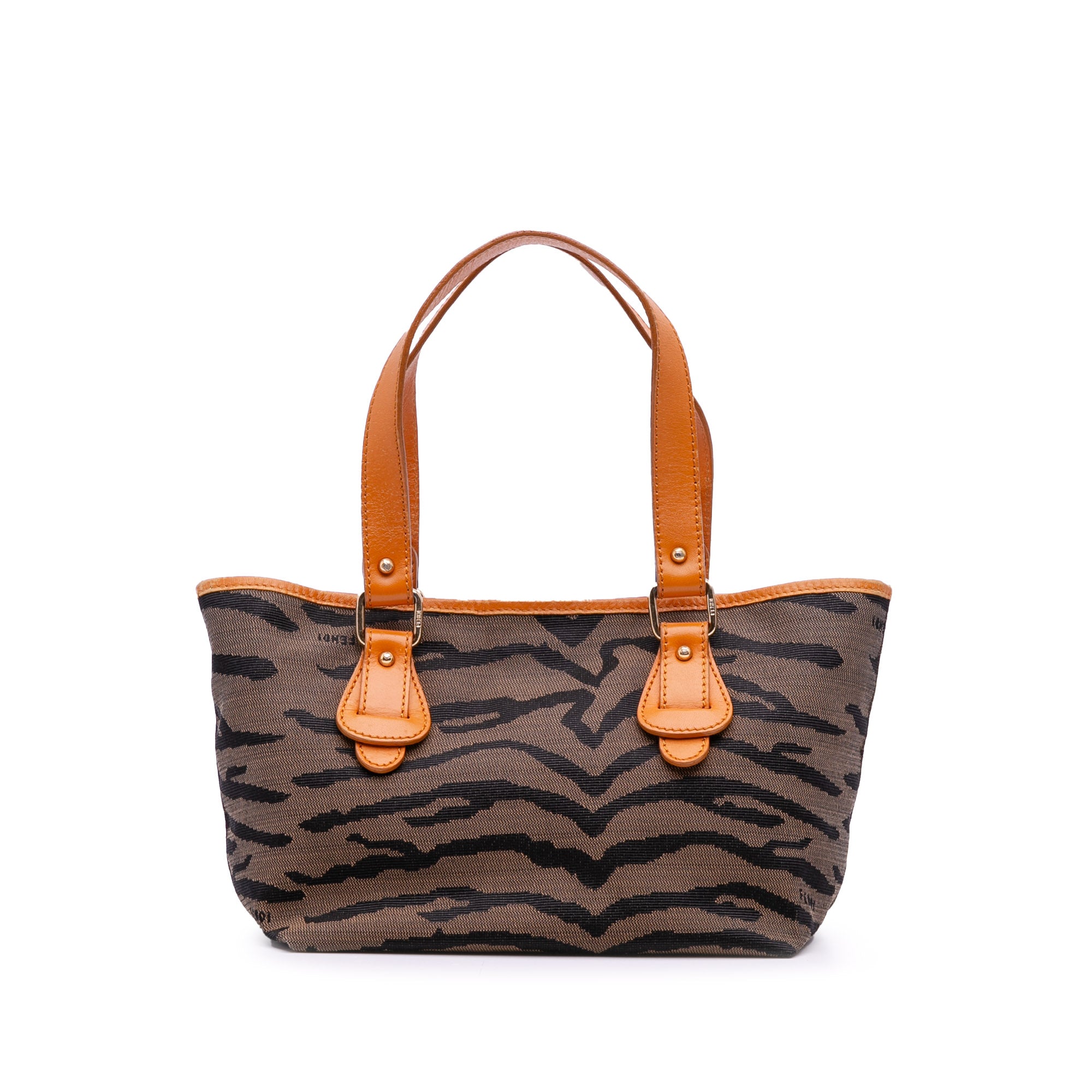 Zebra Print Canvas Handbag