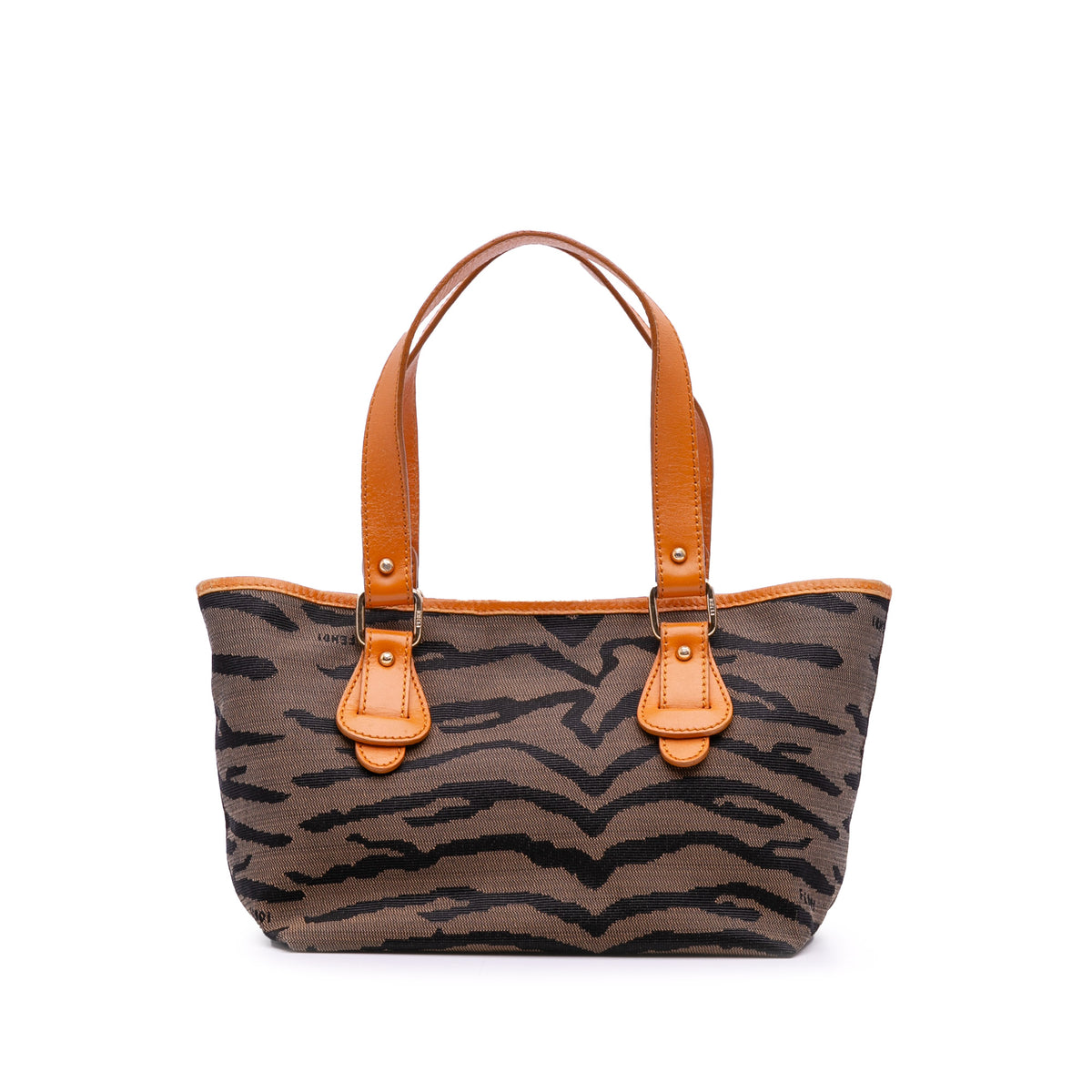 Zebra Print Canvas Handbag