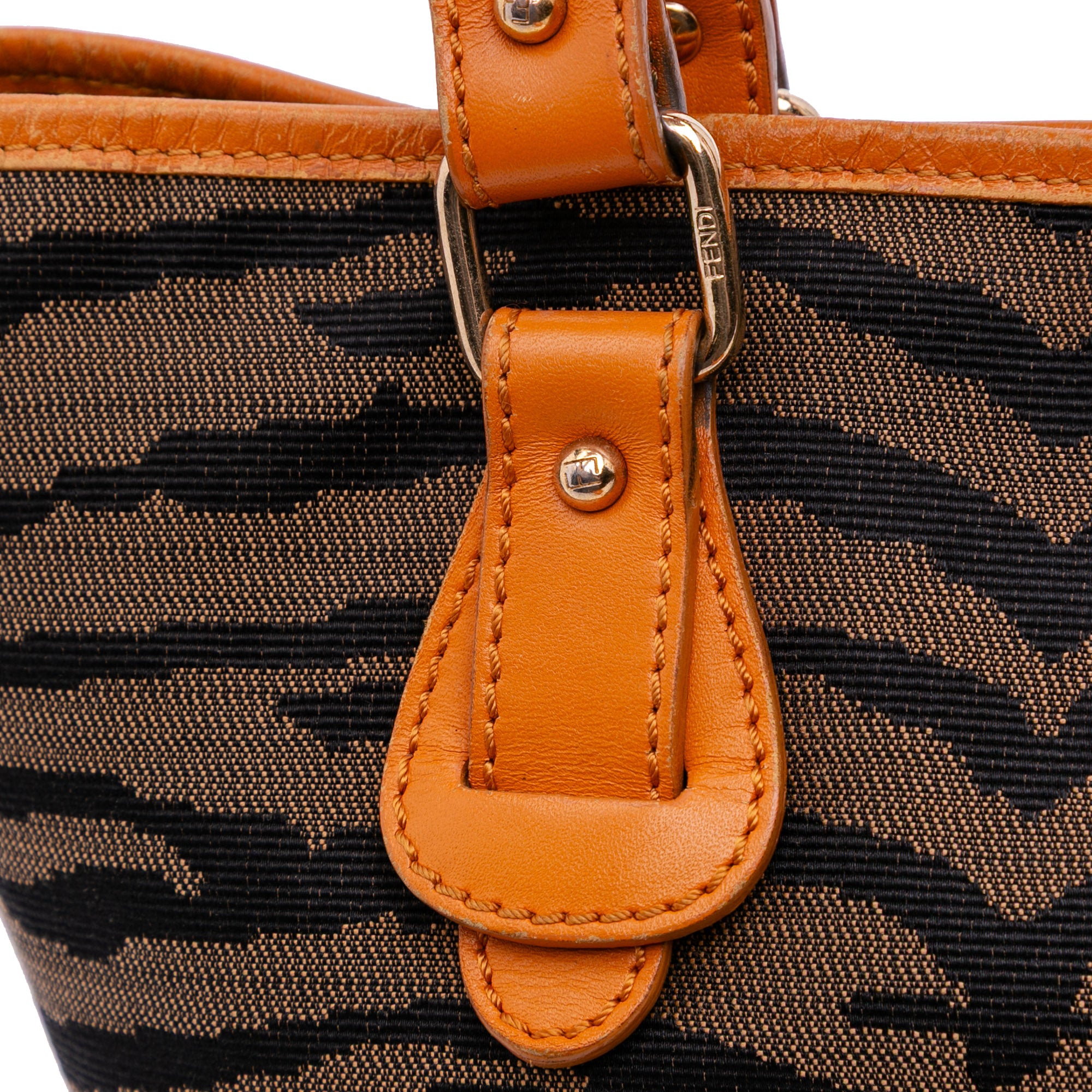 Zebra Print Canvas Handbag