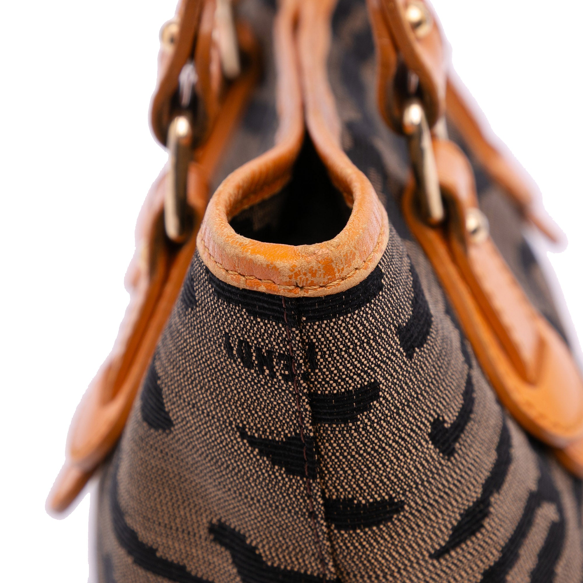 Zebra Print Canvas Handbag