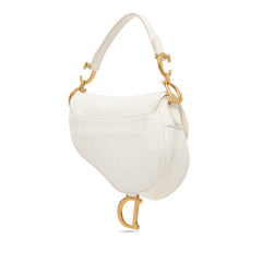 Mini Oblique Canvas Saddle Bag