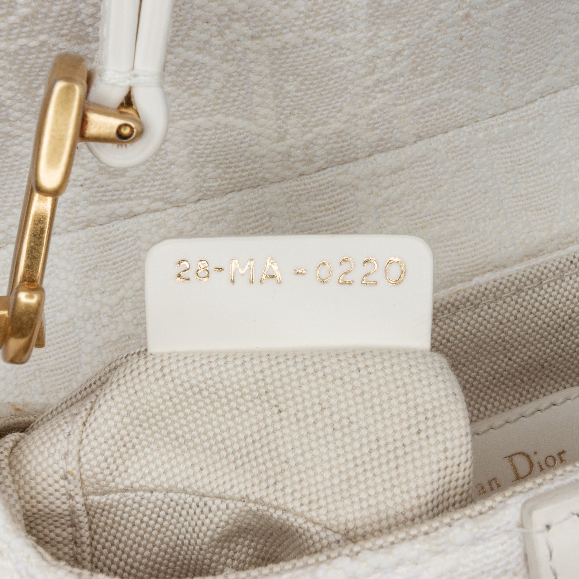 Mini Oblique Canvas Saddle Bag