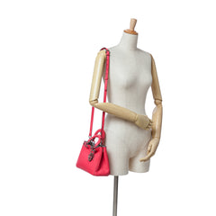 Small Leather Diorissimo Satchel