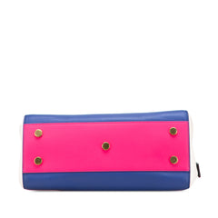 Medium Smooth Tricolor Calfskin Cabas Rive Gauche Satchel