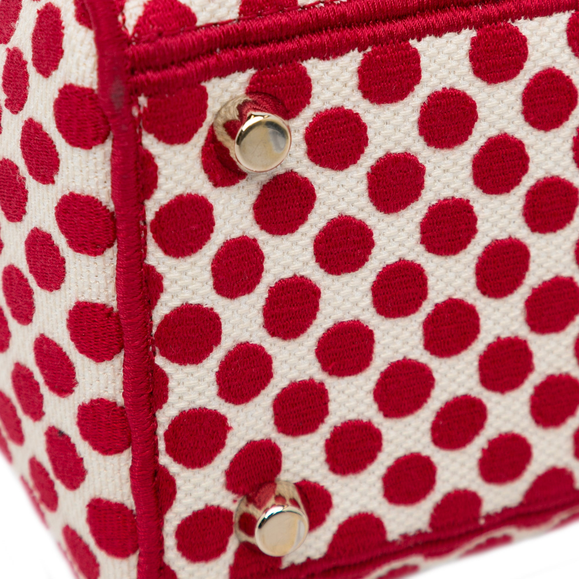 DiorAmour Medium Embroidered Canvas Dots Lady D Lite