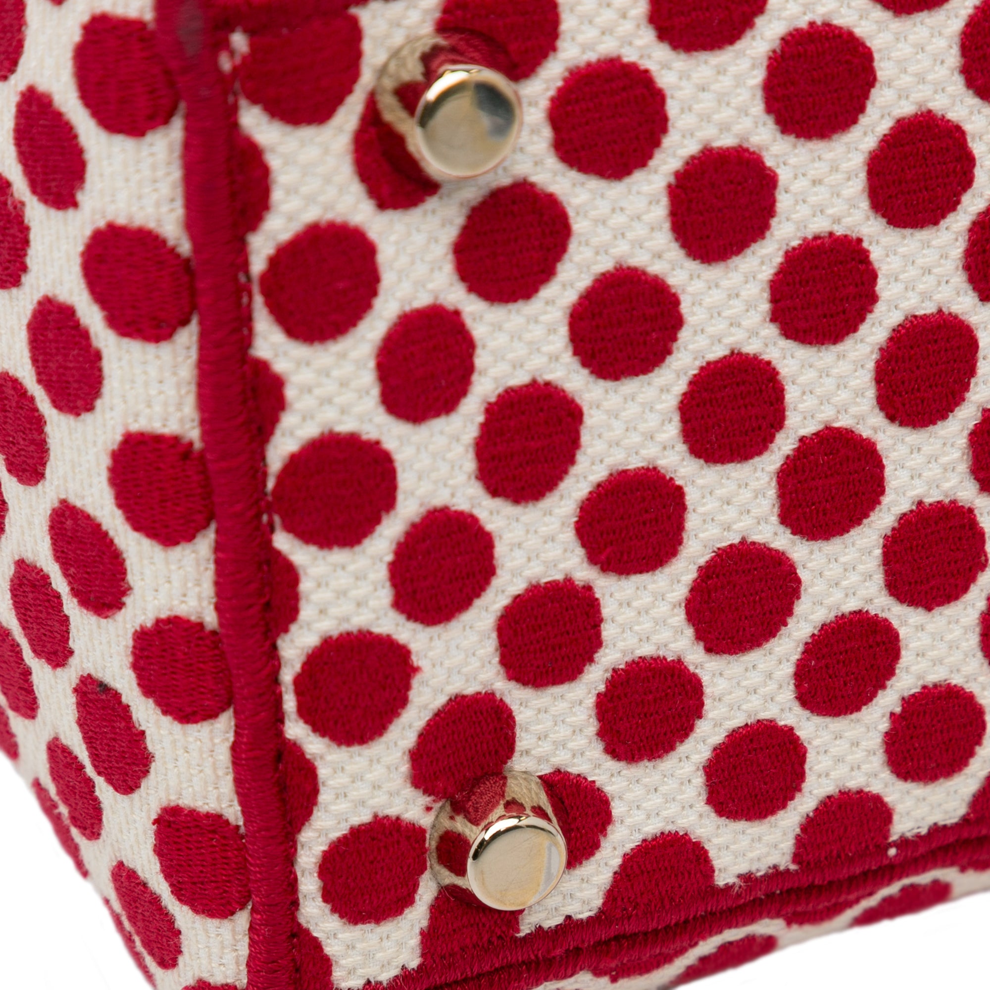 Medium DiorAmour Dots Lady D Lite