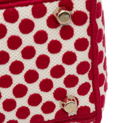 Medium DiorAmour Dots Lady D Lite
