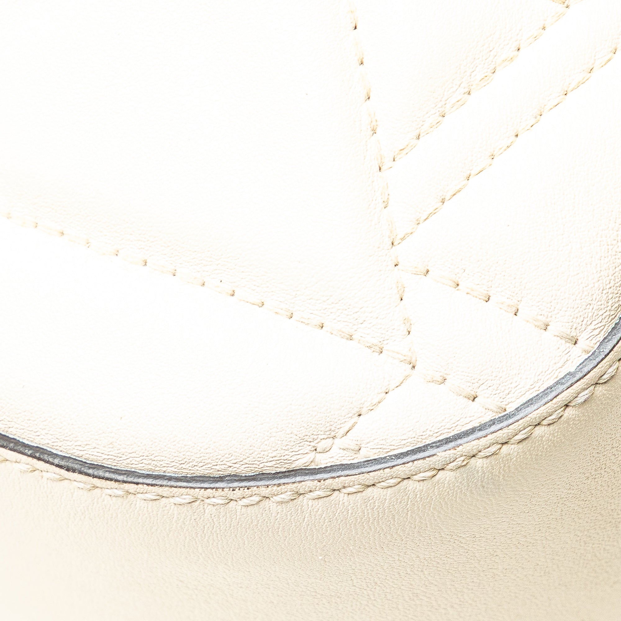 Quilted Leather Dionysus Web Hobo