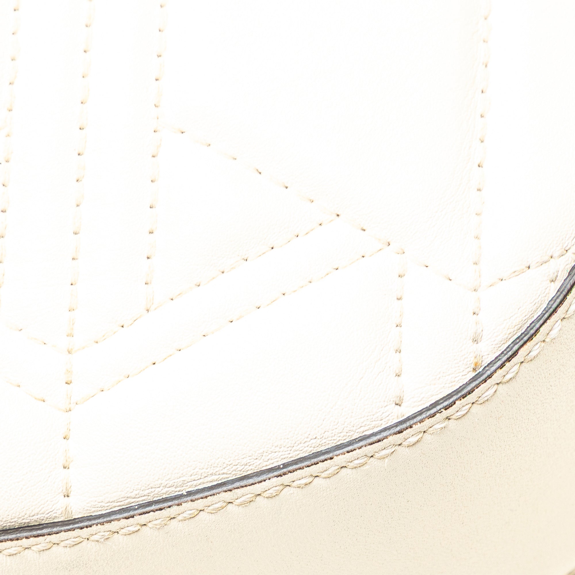 Quilted Leather Dionysus Web Hobo