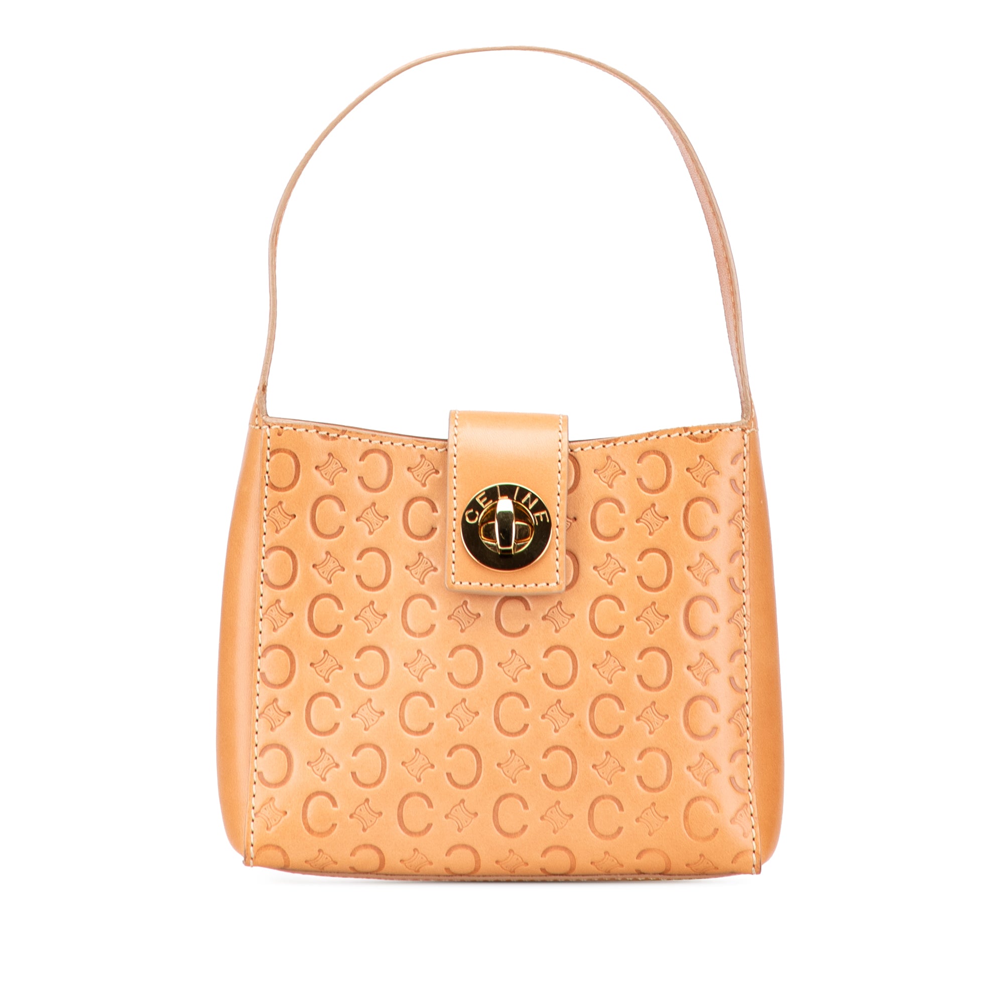C Macadam Leather Handbag
