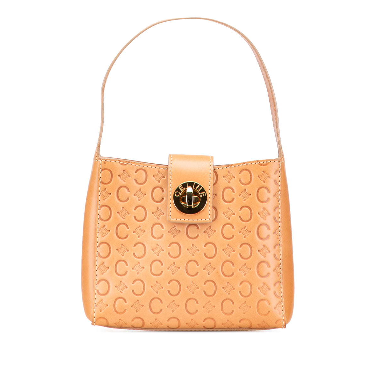 C Macadam Leather Handbag