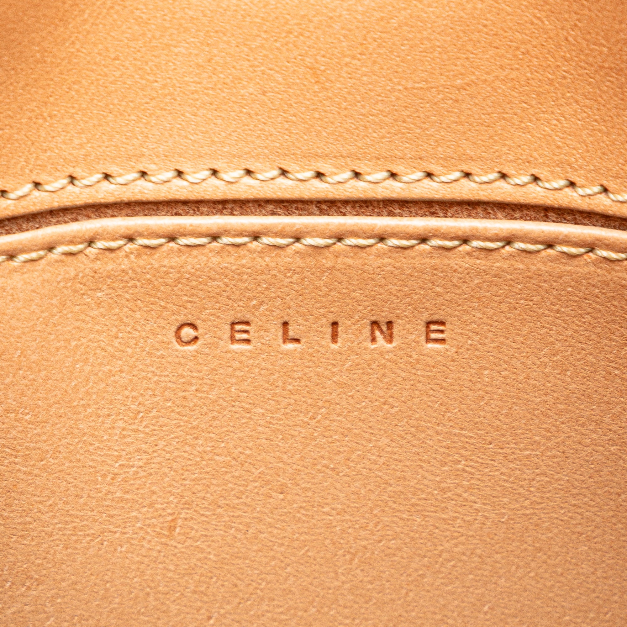 C Macadam Leather Handbag