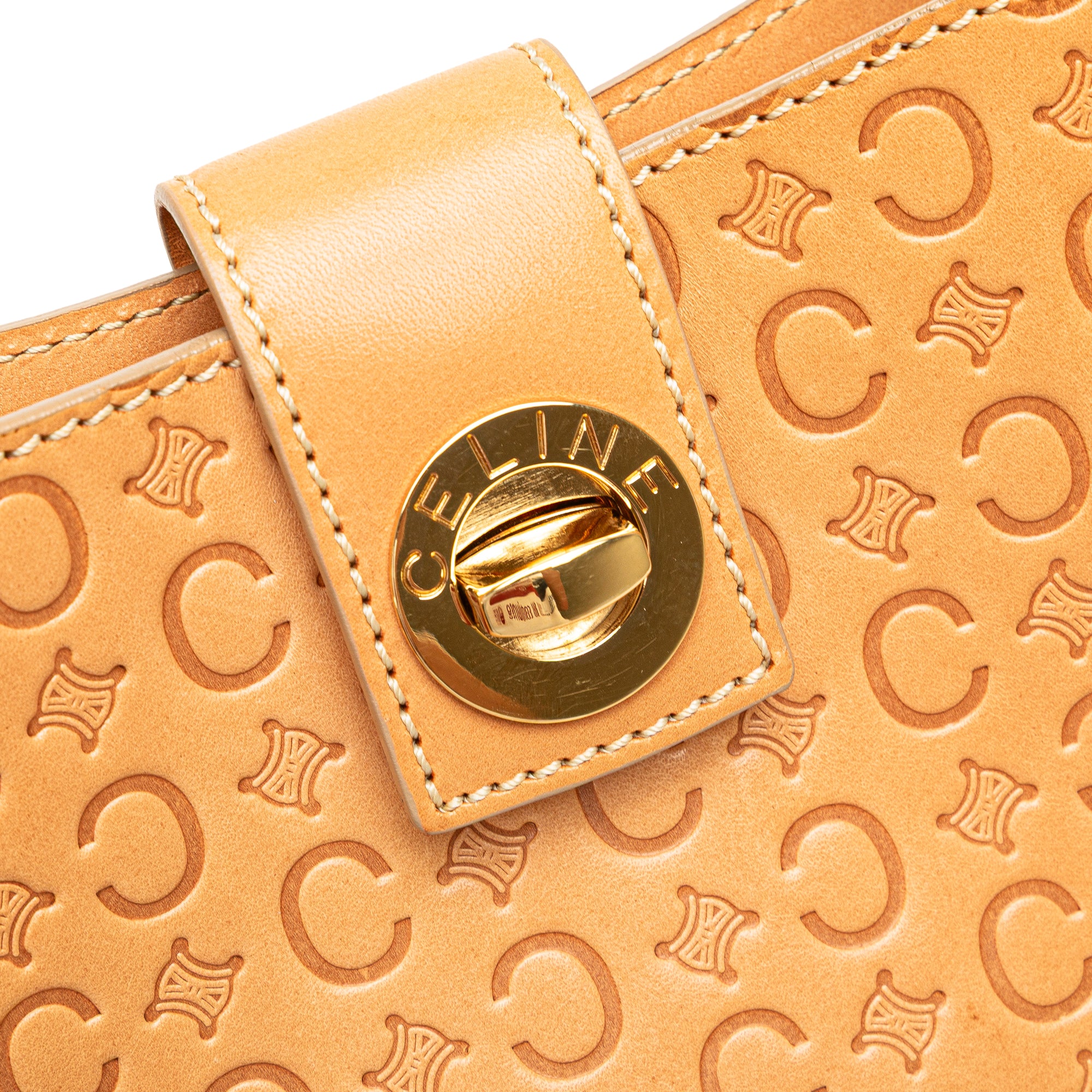 C Macadam Leather Handbag