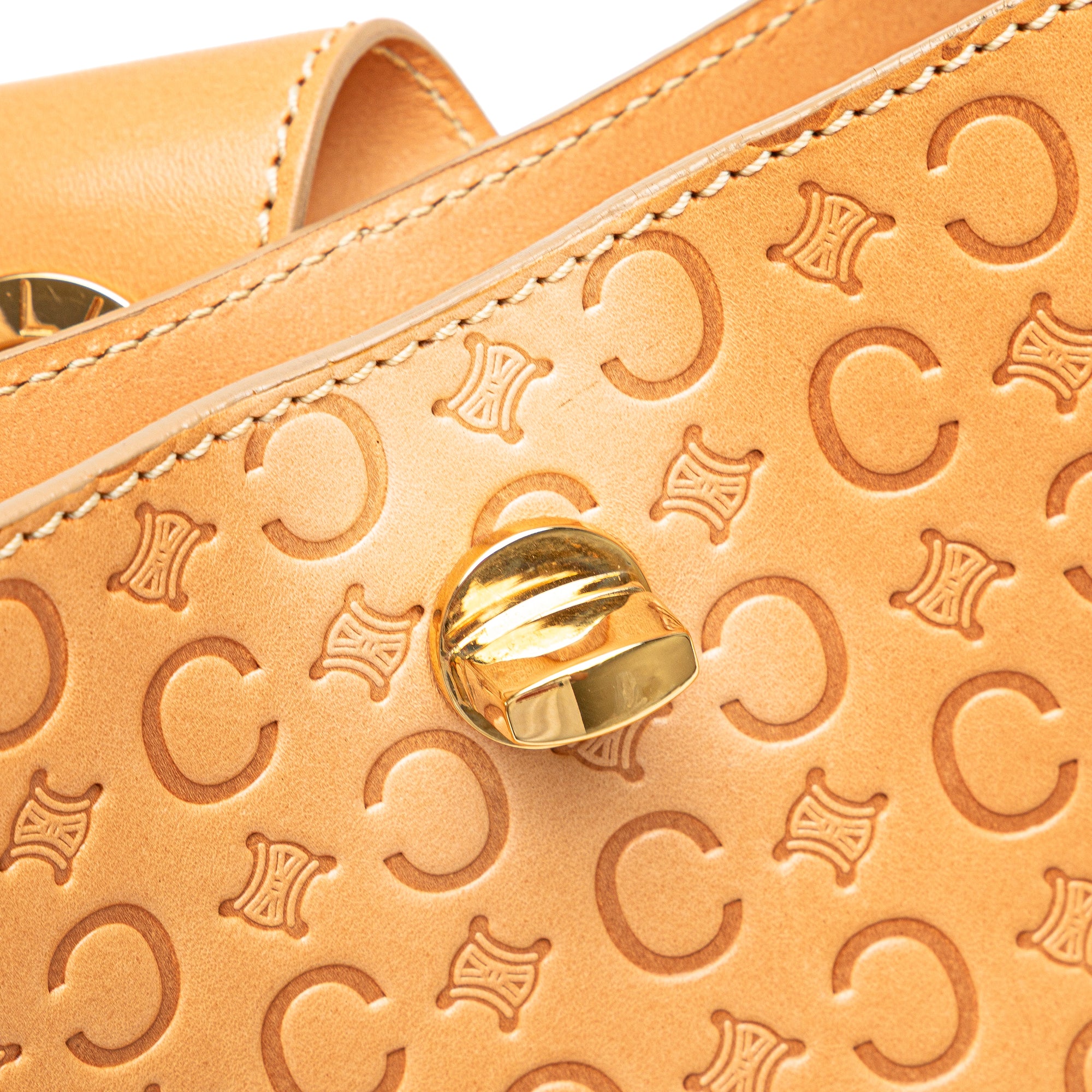 C Macadam Leather Handbag