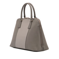 Medium Bicolor Saffiano Lux Promenade Satchel