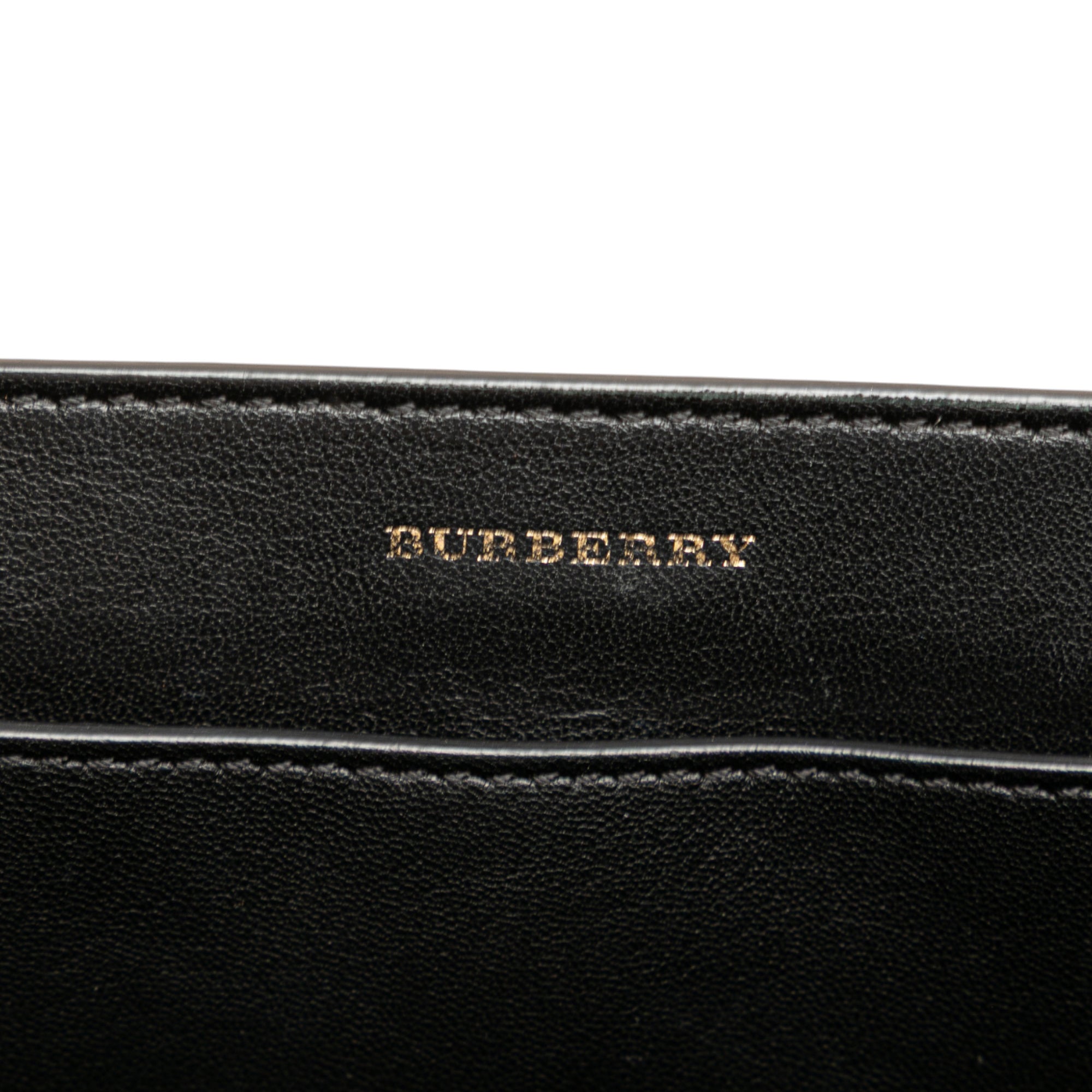 Small Grained Calfskin Belt Satchel