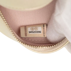 Quilted Iridescent Lambskin Round Clutch With Chain