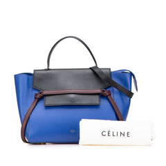 Mini Tricolor Smooth Calfskin Belt Bag