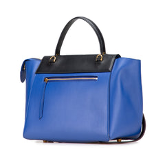 Mini Tricolor Smooth Calfskin Belt Bag