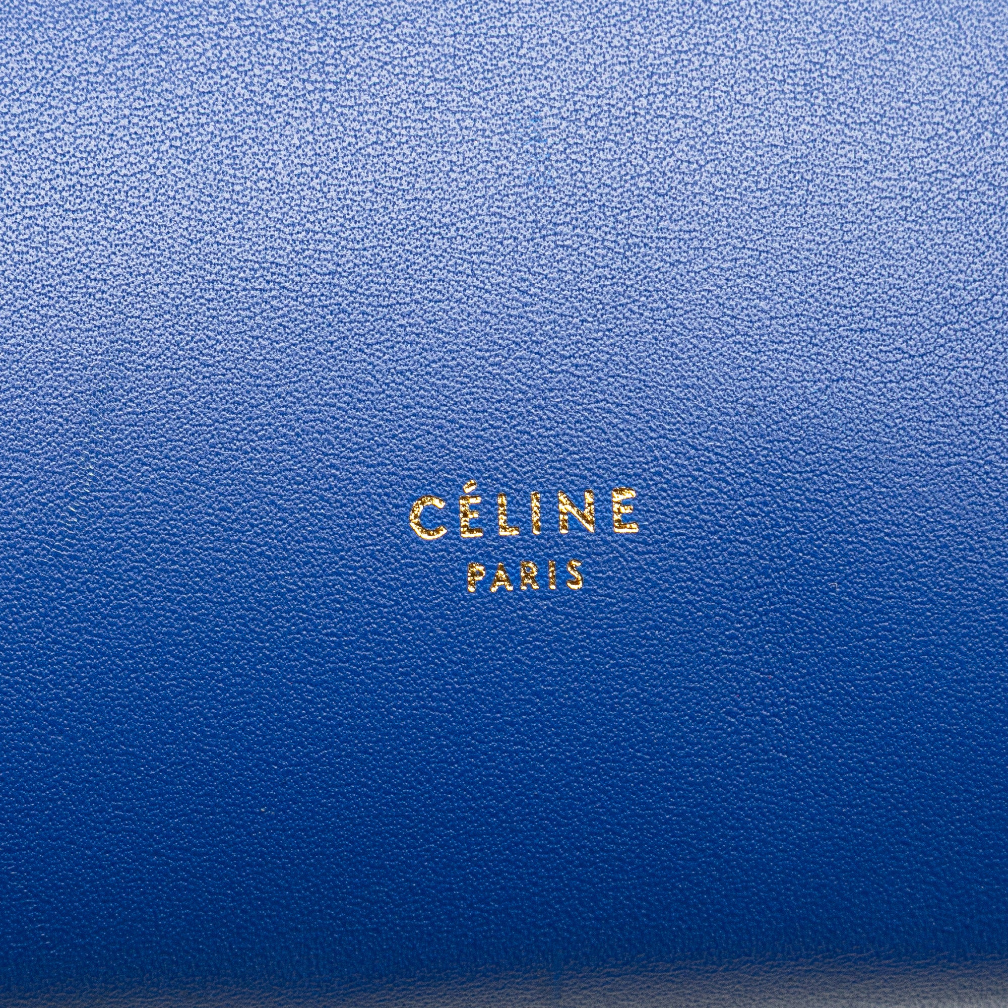 Mini Tricolor Smooth Calfskin Belt Bag