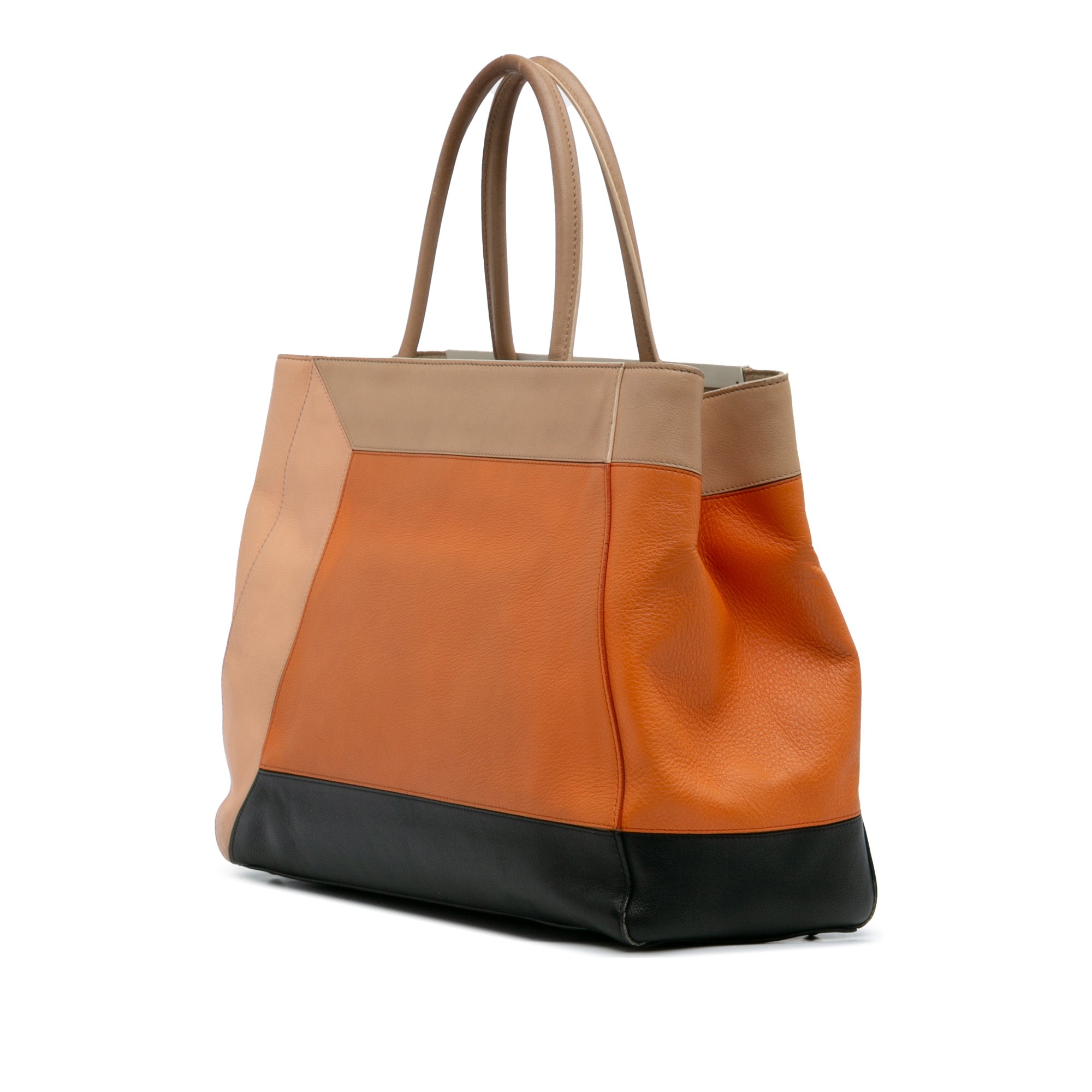Medium Multicolor Calfskin Colorblock Regular 2Jours Tote