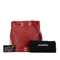 Paris Cosmopolite Medium Chevron Lambskin Bucket Bag
