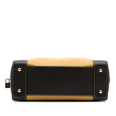 Tricolor Leather Amazona 36