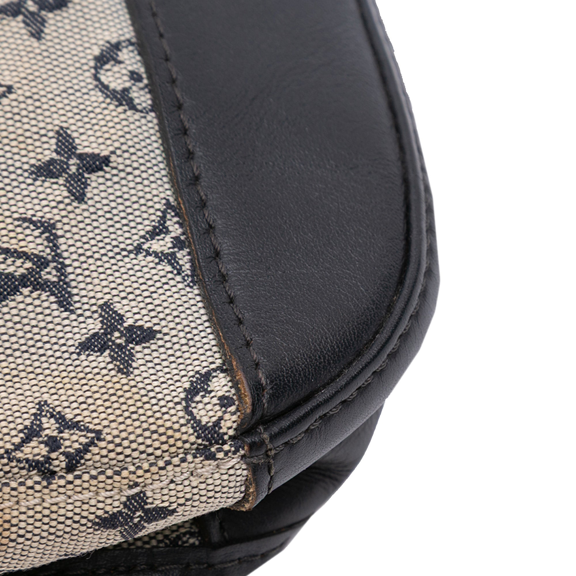Monogram Mini Lin Marjorie