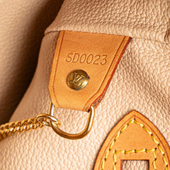 Monogram Petit Bucket