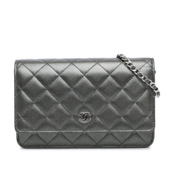 Quilted Iridescent Lambskin Wallet On Chain