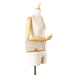 Honeycomb Coated Canvas Chain Shoulder Bag