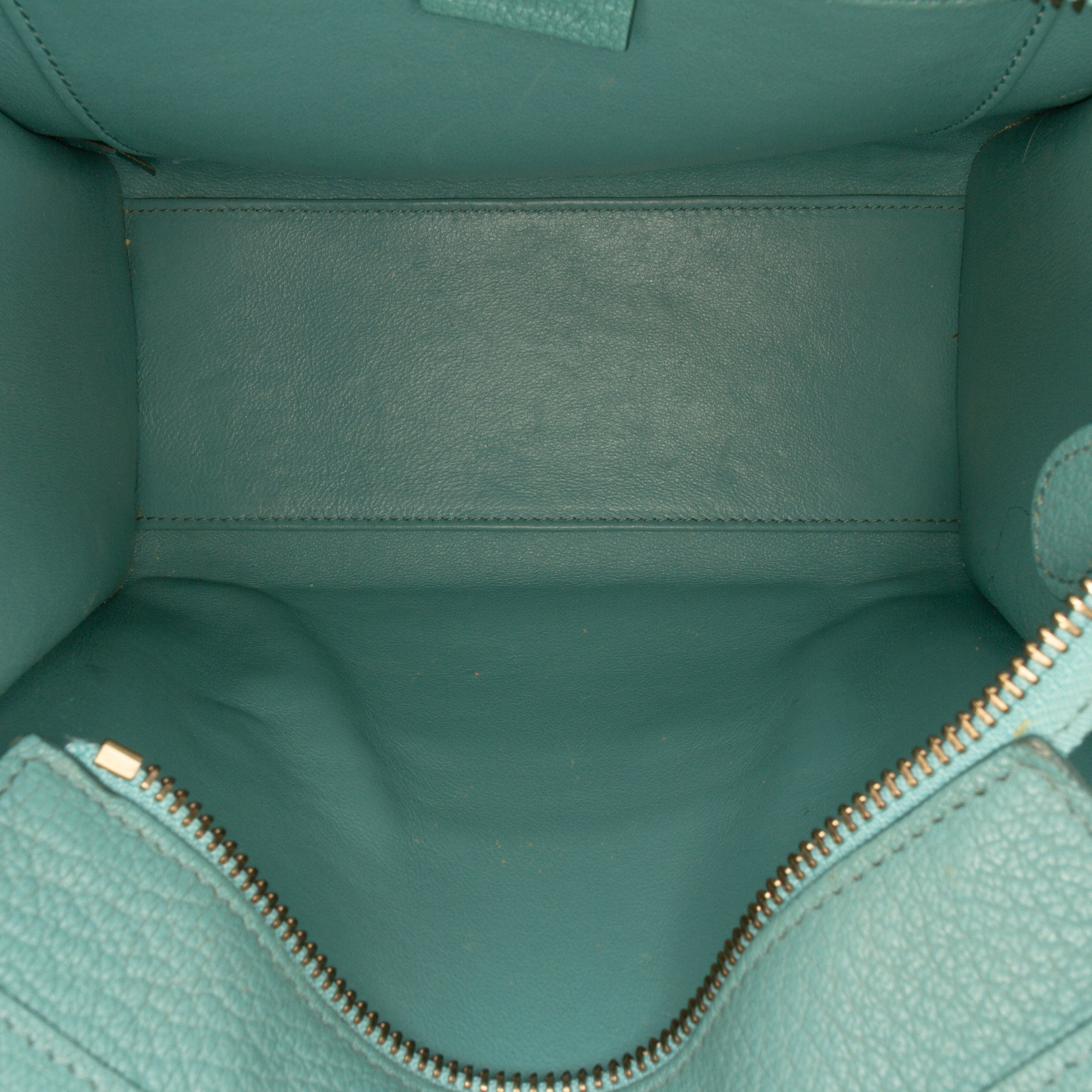 Nano Goatskin Luggage Tote