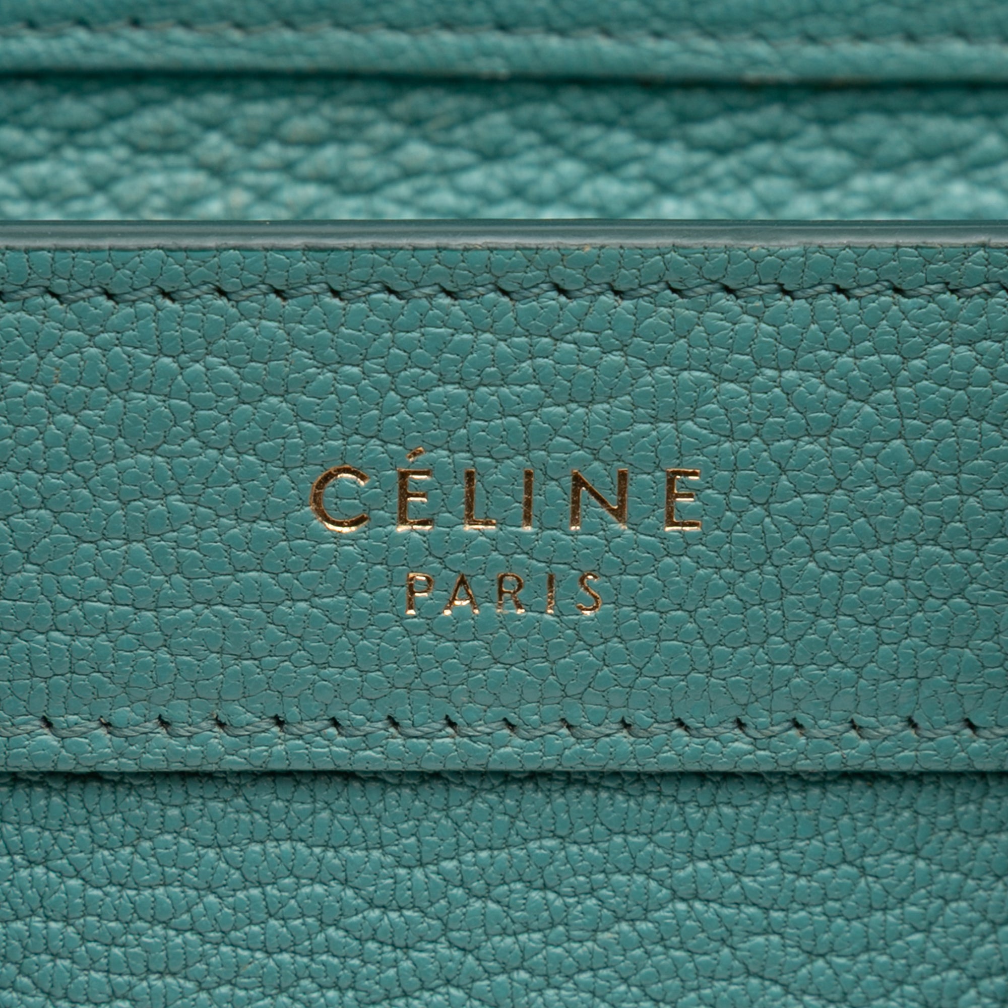 Nano Goatskin Luggage Tote