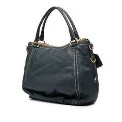 Vitello Daino Zip Top Satchel
