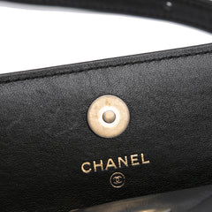 Quilted Lambskin 19 Flap Coin Purse With Chain