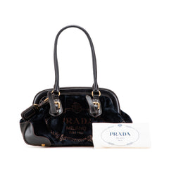 Velvet Logo Frame Shoulder Bag