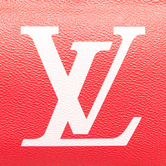 Limited Edition Monogram Giant Double Zip Pochette
