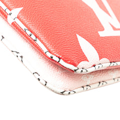Limited Edition Monogram Giant Double Zip Pochette