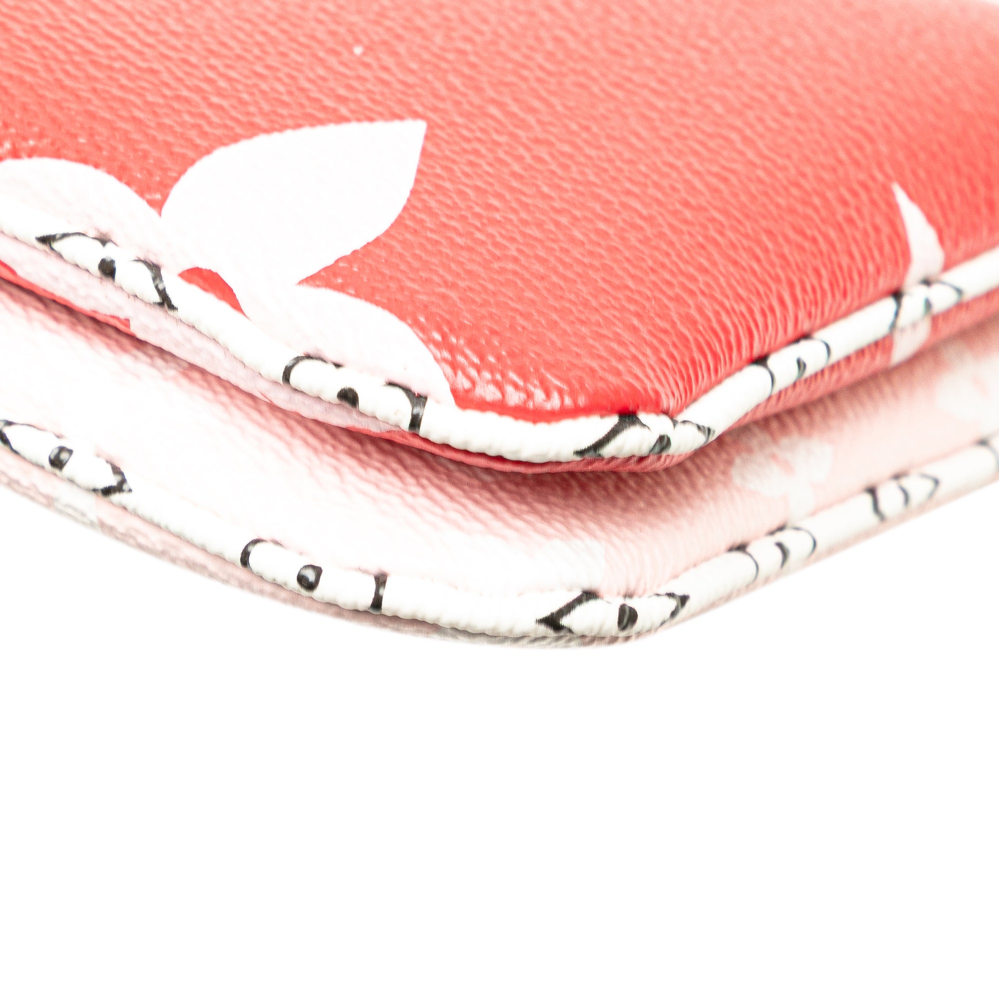 Limited Edition Monogram Giant Double Zip Pochette