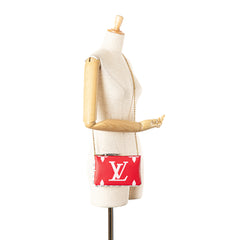 Limited Edition Monogram Giant Double Zip Pochette