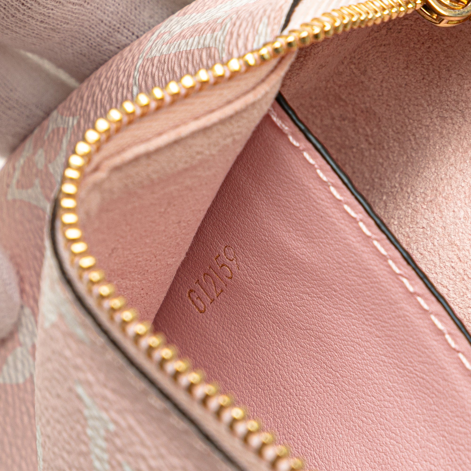 Limited Edition Monogram Giant Double Zip Pochette