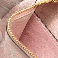 Limited Edition Monogram Giant Double Zip Pochette