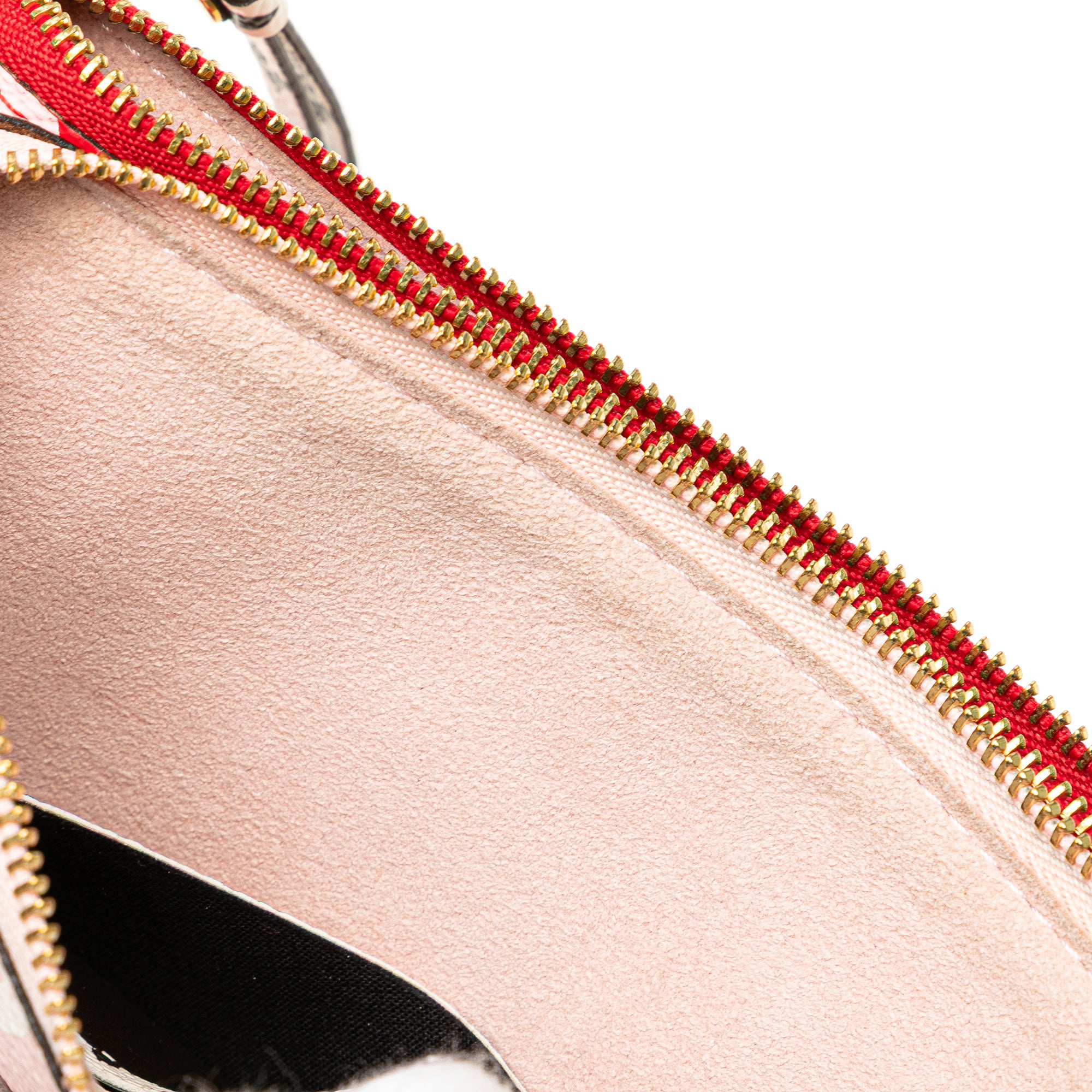 Limited Edition Monogram Giant Double Zip Pochette